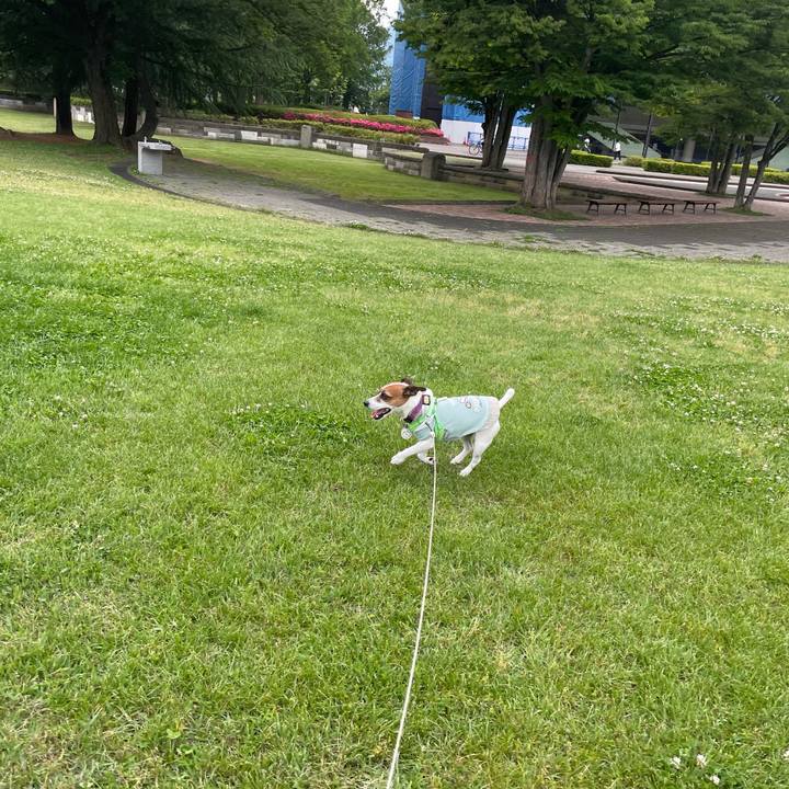 411ee7ca 1abf 49df a1ee 4db6ac38894a 1749807607231