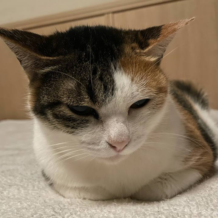 411f03a7 a364 480c 9e04 1f7ab829931e 1642524348627