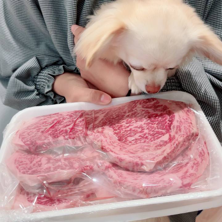 411f36cb 92cc 4c47 9b5c 43f36d7fbb93 1711613795108