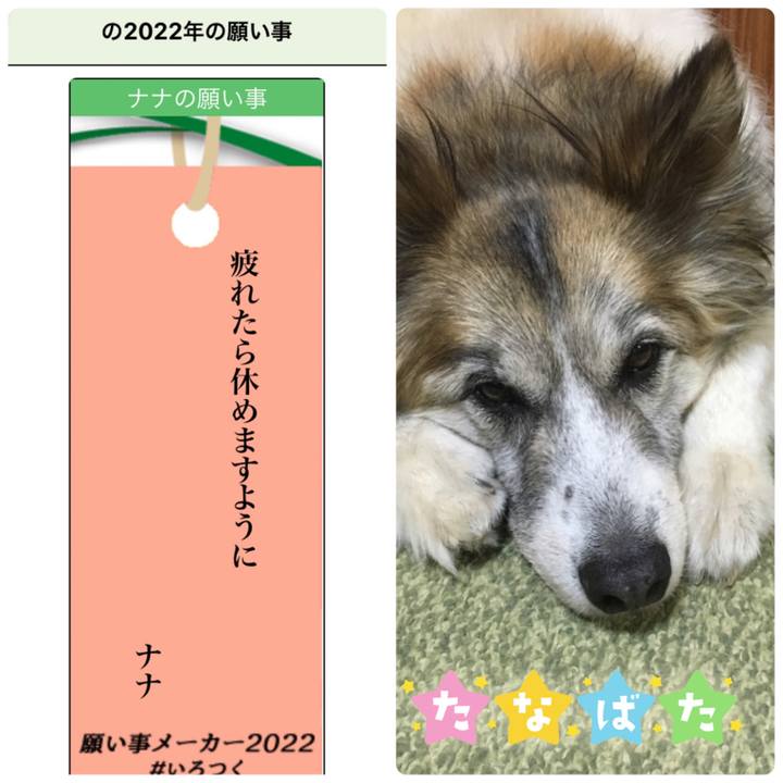 411f3a88 7134 469c 9a10 f0972341d3cb 1657166258445