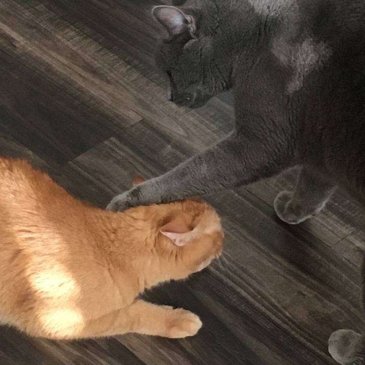 411f541c aaef 4d3f bd1e 5e2808fd7f1e 1634254433285