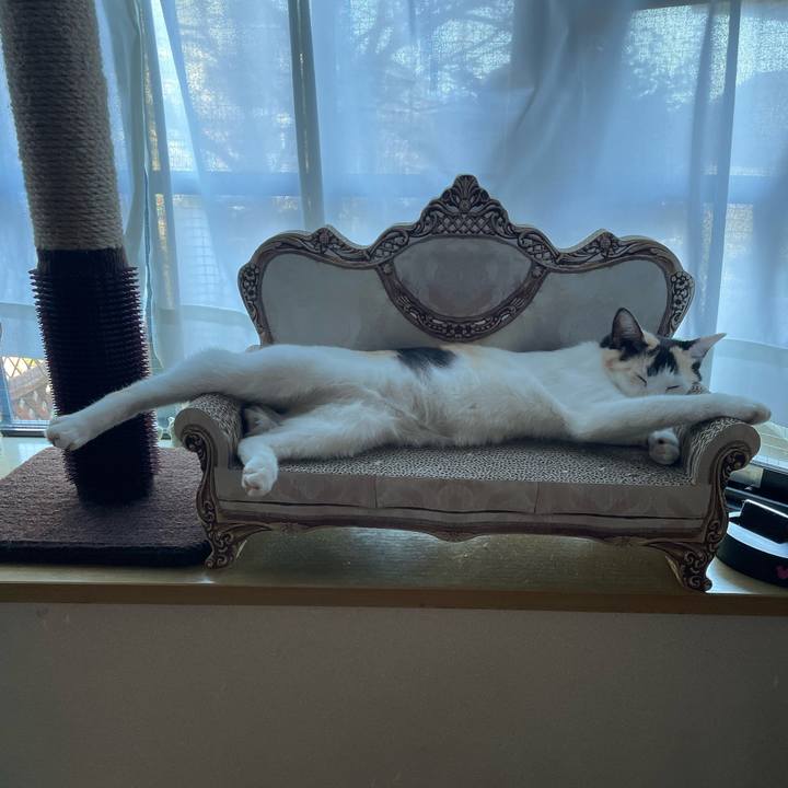 411f865b c922 444f aec5 9ad7d9ef3752 1677475585157