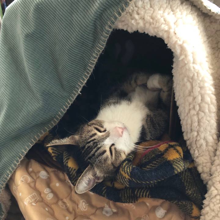 411fa092 9e9c 4128 a920 80dd7d20976e 1712281996249