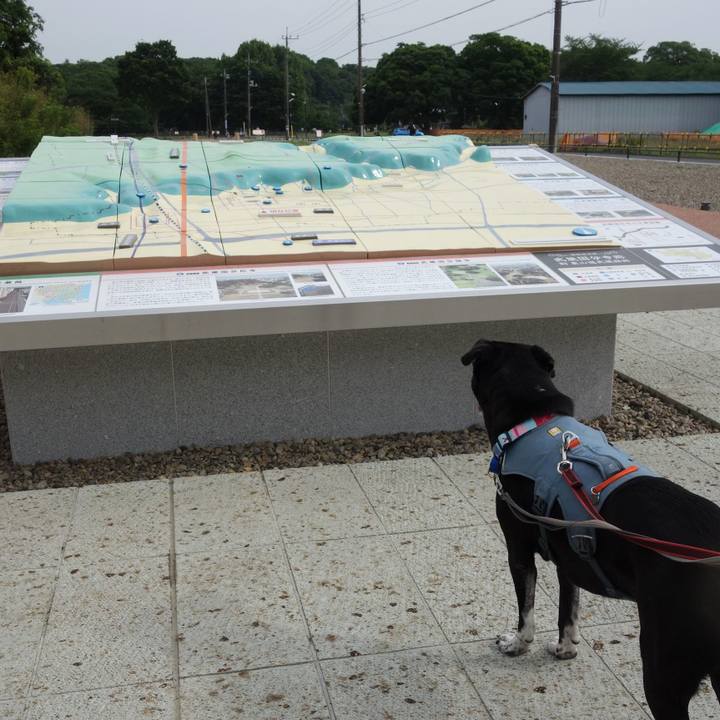 411fceb4 7b23 4b8f a069 d1f14042172e 1747182065385