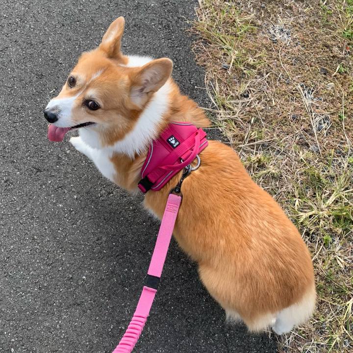 411fe76f 8808 4ebb 9dad d71571aad1d3 1700710948535