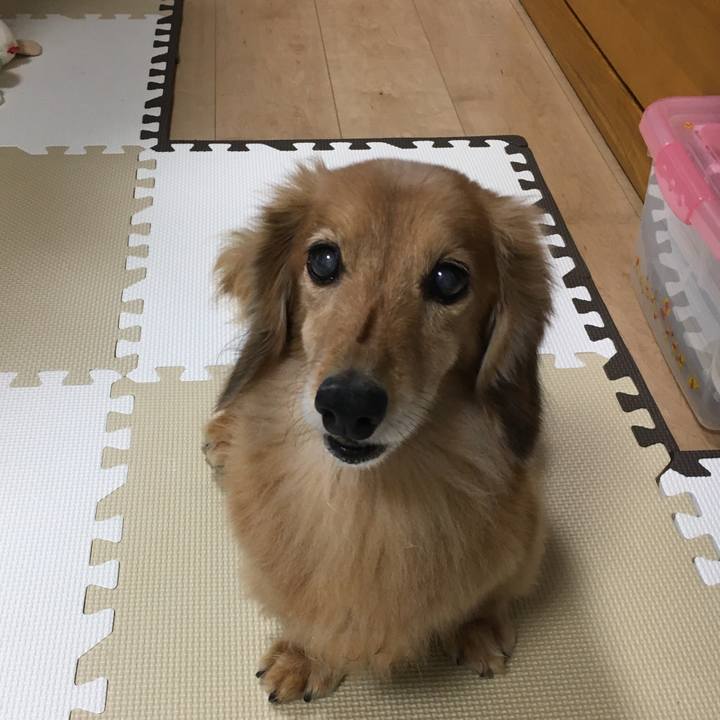 411ff8ad 8768 4088 8d65 5cc1693bb0ea 1631712352739