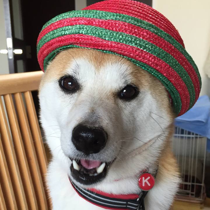 412008f7 6127 4c6f 8da4 434b34f87173 1521951200204