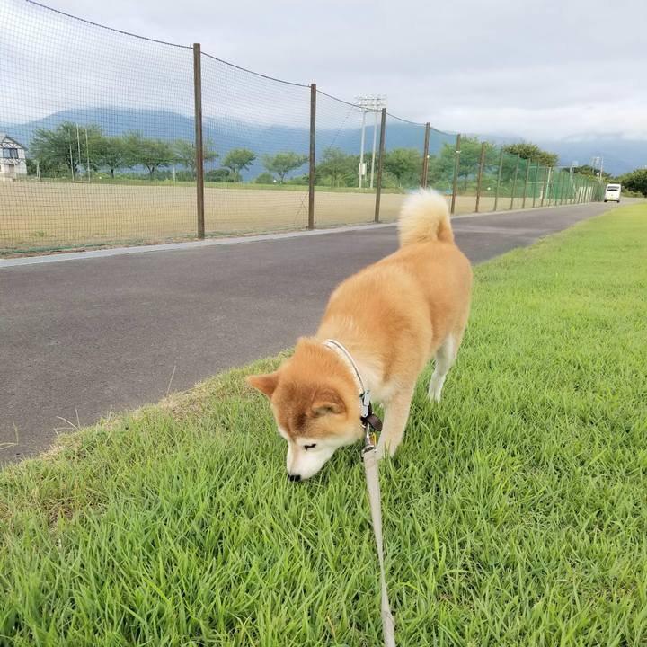 4120381e 8bfe 4a97 bb2e 0db20ec32206 1628670693916