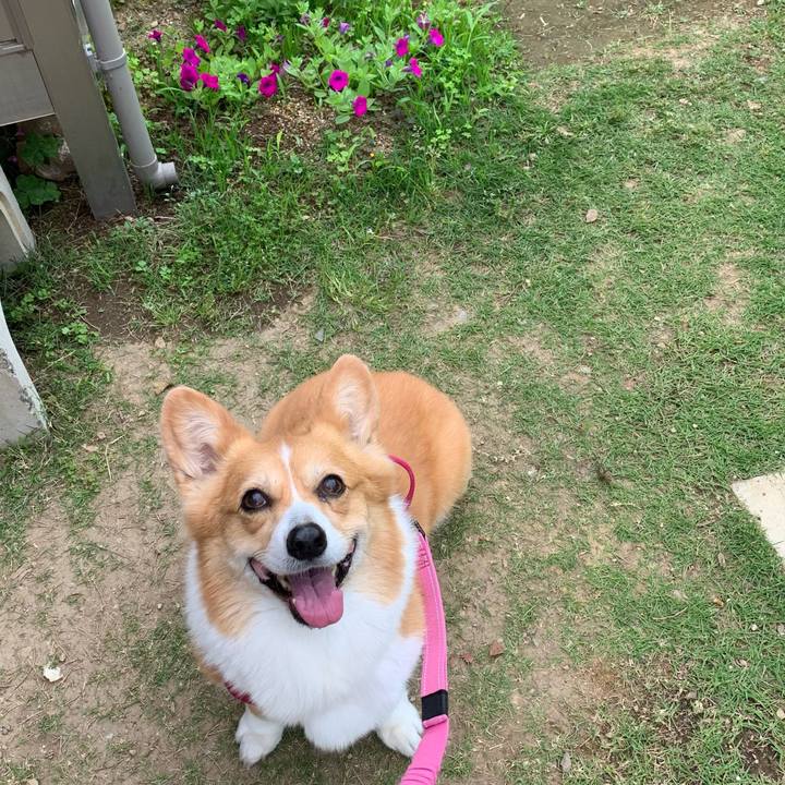 41204f18 edd7 49dd 99dd 646941f97507 1653103750088