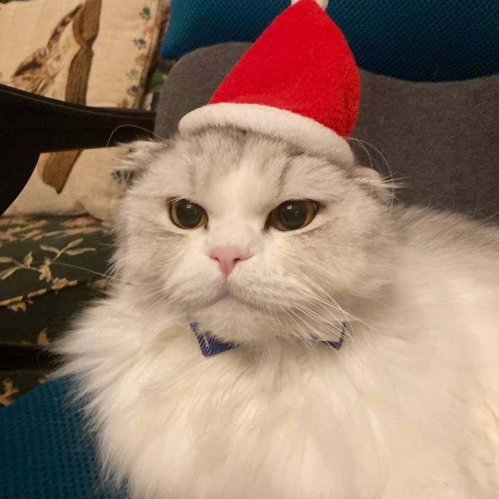 41206968 0a77 464b 979e 4f38fdbe225e 1703509819718