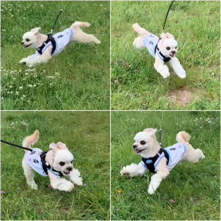 41208629 3ae6 4802 8aa0 5b01a4832cca 1558264615837