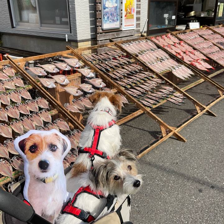 4120e6b5 48db 4da6 874f 6aa9e2b9c7af 1771914752976