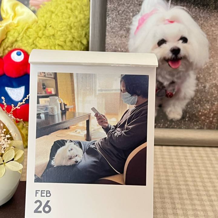 4120ee8e 5e16 4c58 95db 938c0e60557b 1772064287686