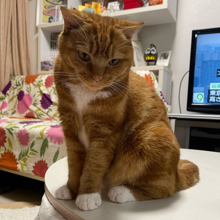 41212b31 7c1a 4fe1 94fb 8b14280bb331 1663245788412