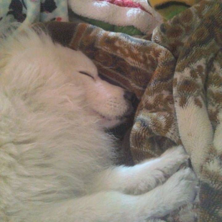 4121308a 5e0b 42cb 8db8 4dc0a312efb4 1680499397357