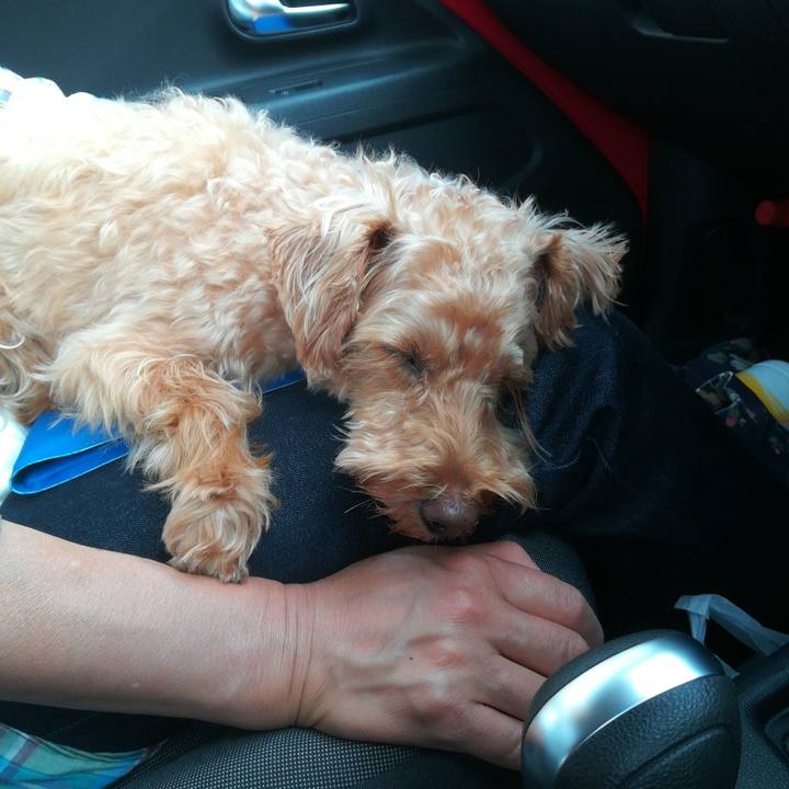 41216ce9 1728 4f26 a173 a80b8a30cd44 1563486424605