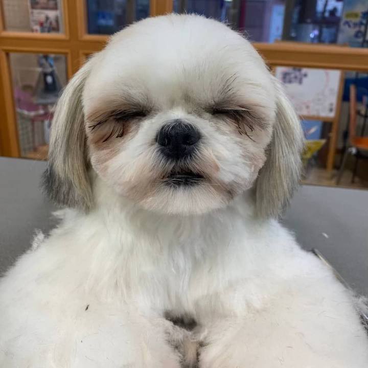 4121a4ac ca95 4b79 a0b1 708aa8e44048 1618399608192