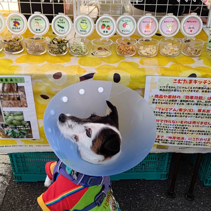 4121b1c8 95f8 4a43 a1be ca4d7c19a681 1670142188177