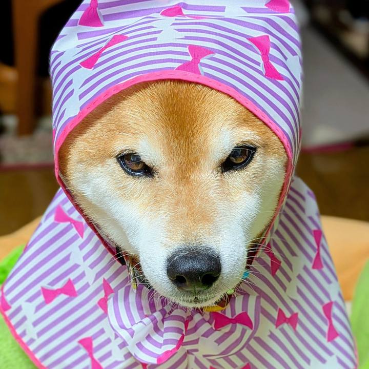 4121b796 5f5d 4298 ba64 cc0cdb4ebf67 1749728061710