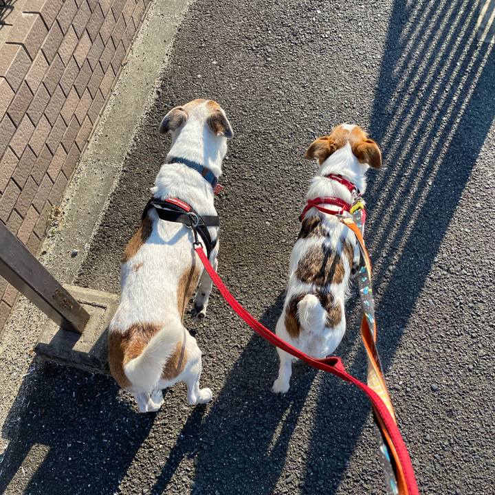 4121c6d5 4a25 49a4 a449 173f9b756564 1622362111003