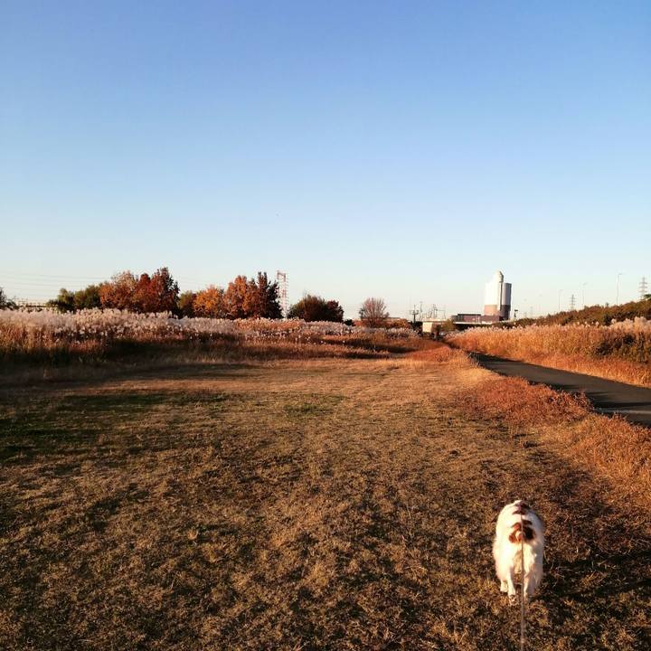 4121cf8d c85b 4d9c 8c1f 921b276920ee 1607082553317