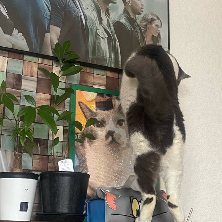 4121eccb 482c 4ac3 9e09 ef7a51393464 1738912786757