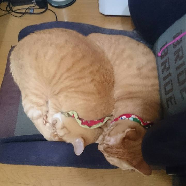 4122db77 44e2 438b bac0 c52f0bba7a04 1520610996252