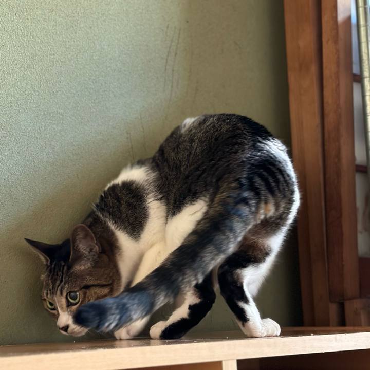 4122ec00 d678 4ad2 9c62 c12e3eace806 1677464538750