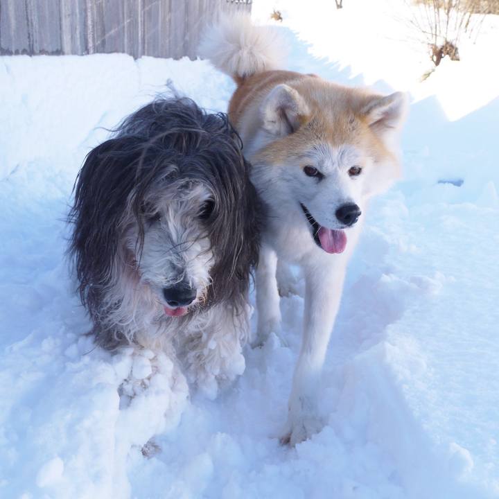 412307a1 43dc 4197 93f9 a5b21fef09d1 1517900433724