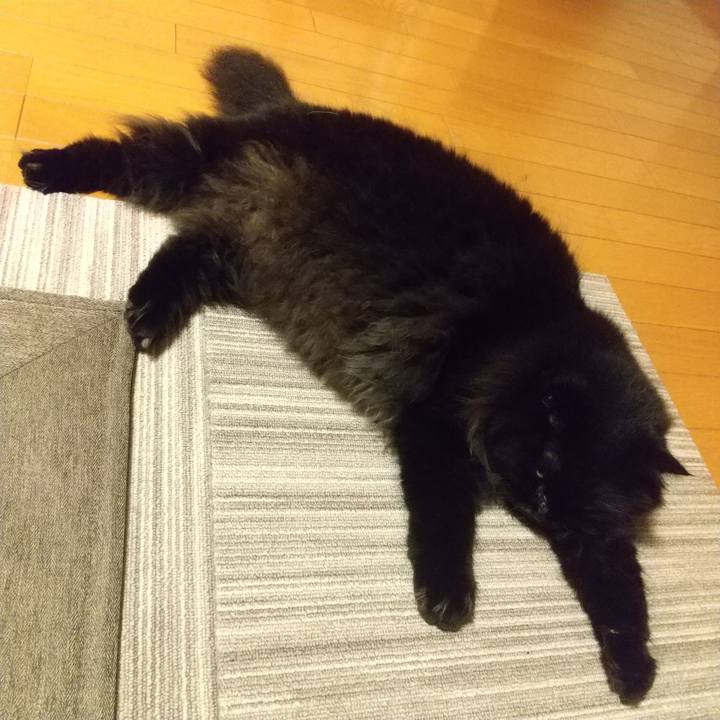 41239b61 f59c 412c 947f 119cb4bbdb47 1632747810120