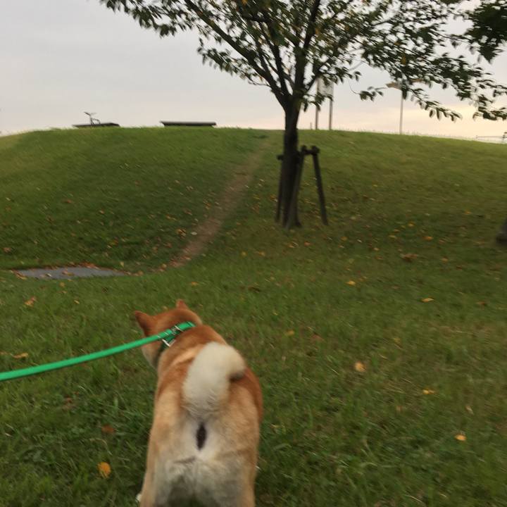 4123aef7 533c 4f5d ab84 a9332b3cc39e 1600591907733