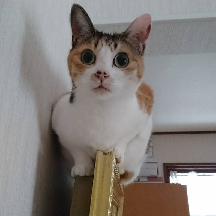 4123af82 e4c0 4af5 8f9b db20de0a3e01 1535903200426