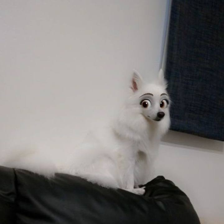 4123c074 261f 490a 8c64 f9c54026d8c7 1616316032570