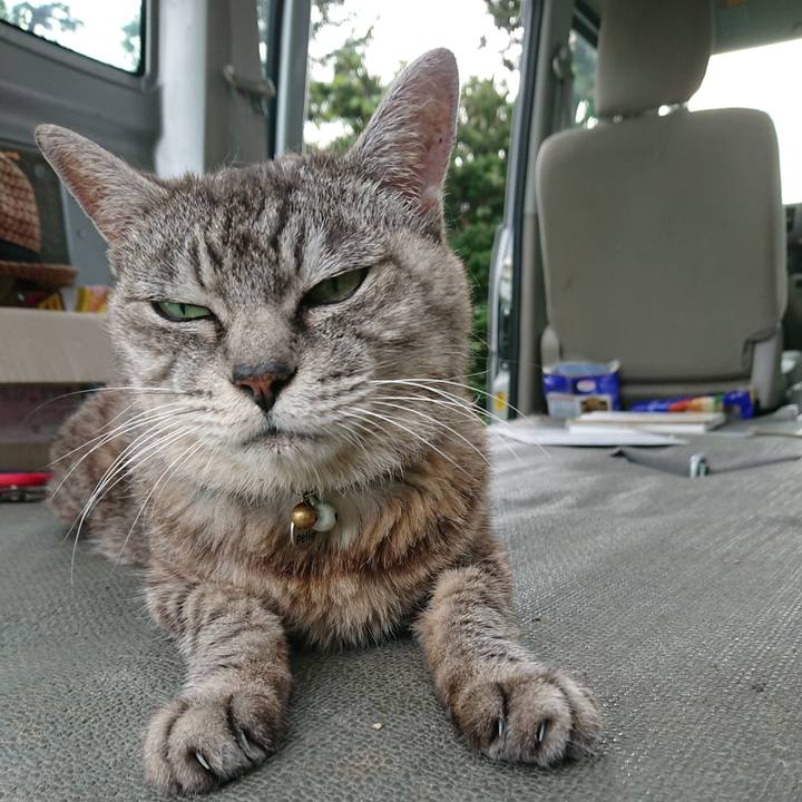 4123df15 ce44 45e8 a67a 2b86e3129dbf 1569221017469