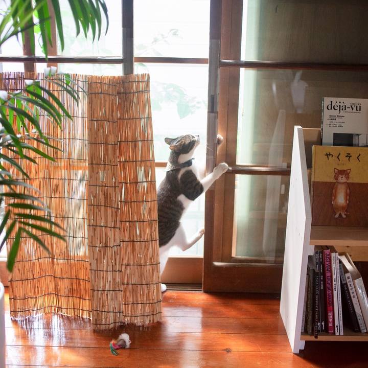 4123e892 b847 40de 81ba 18ff37ecd3ea 1569634627351