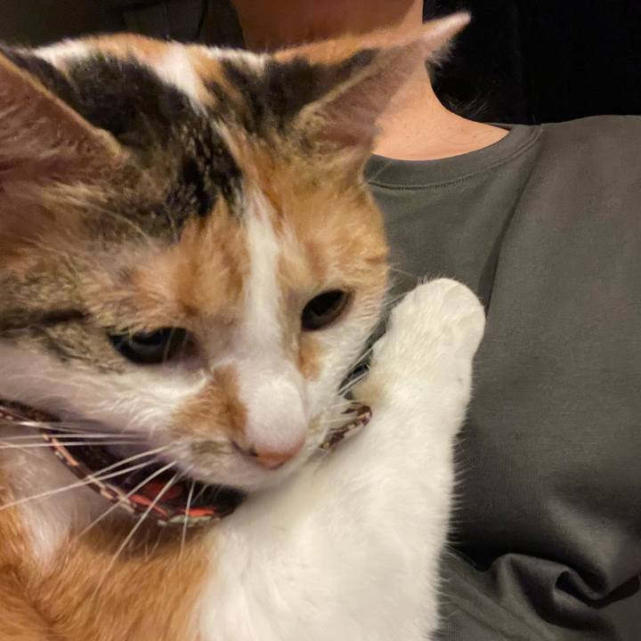 41243176 28b5 473f 9445 82877b9e8fd0 1752071528591