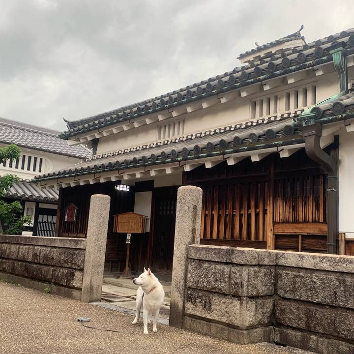 41244eab 9a97 44c0 8cb1 ca6980586ce6 1560646604633