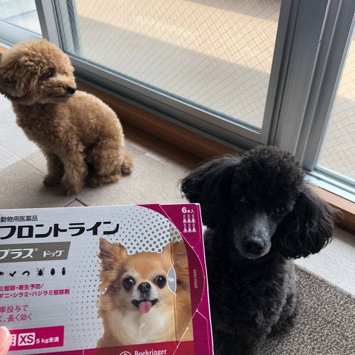 41245093 305c 4876 bba0 a4360a4771a4 1586316976590