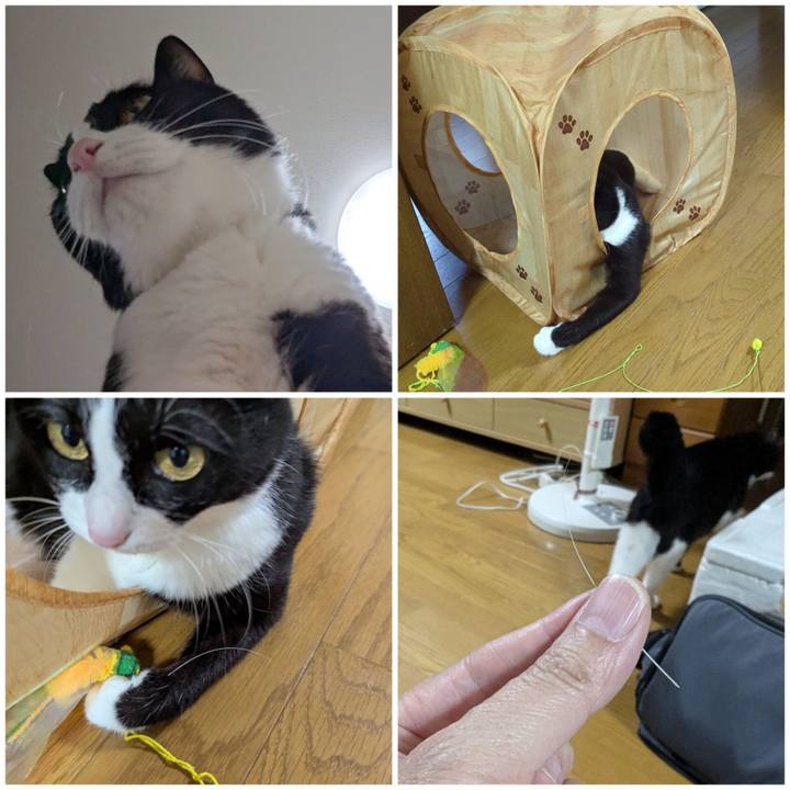 41245f20 f4ed 468b 9f63 0ca1b4aafa16 1747459597873