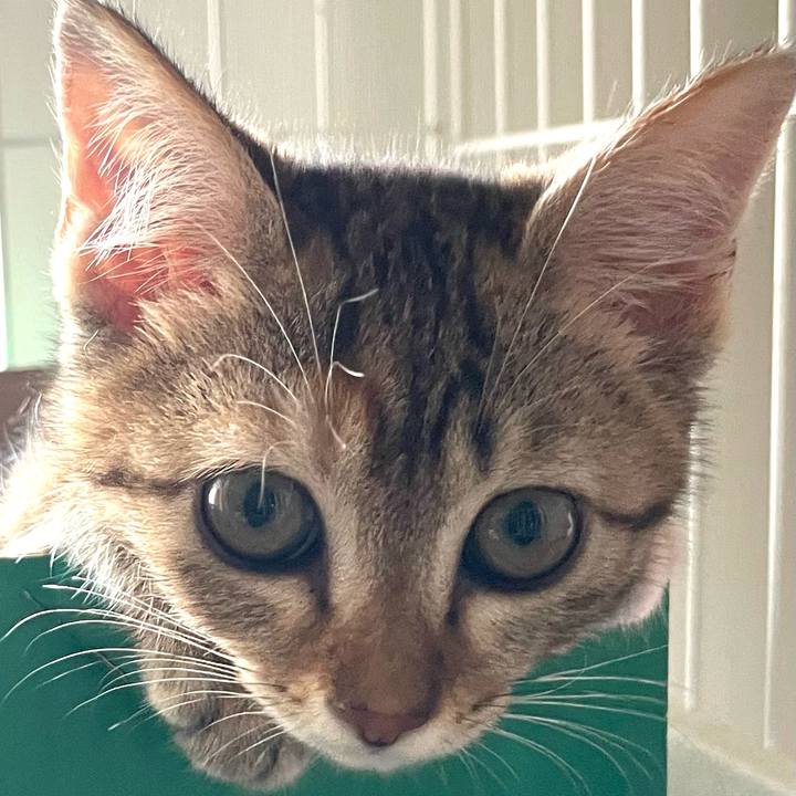 41246519 5469 45c5 b81e 24856e2ac732 1752459198662