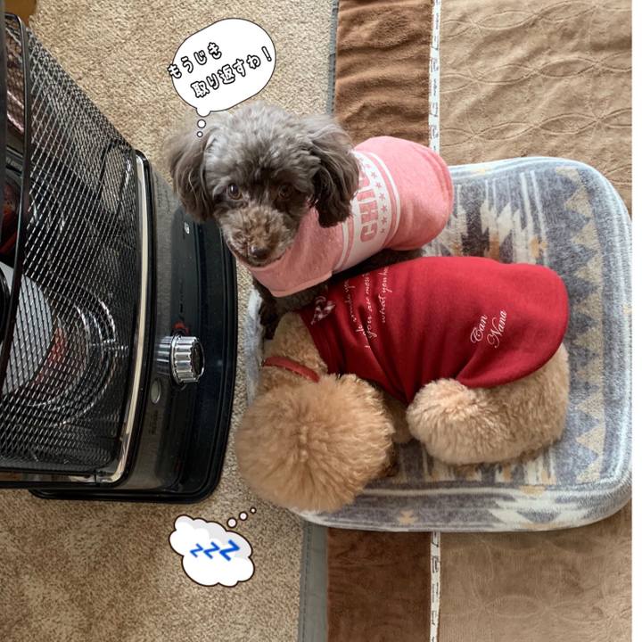 41246965 10e1 4738 a786 54ca84209cf3 1577928040326