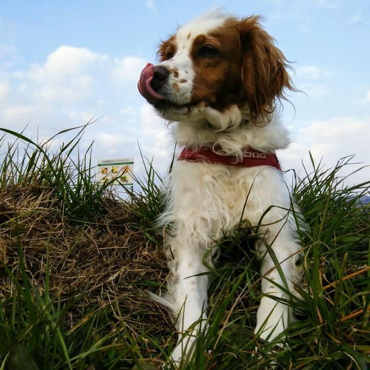 412489a7 c76e 4da0 ad07 d32f4d134336 1550402403929