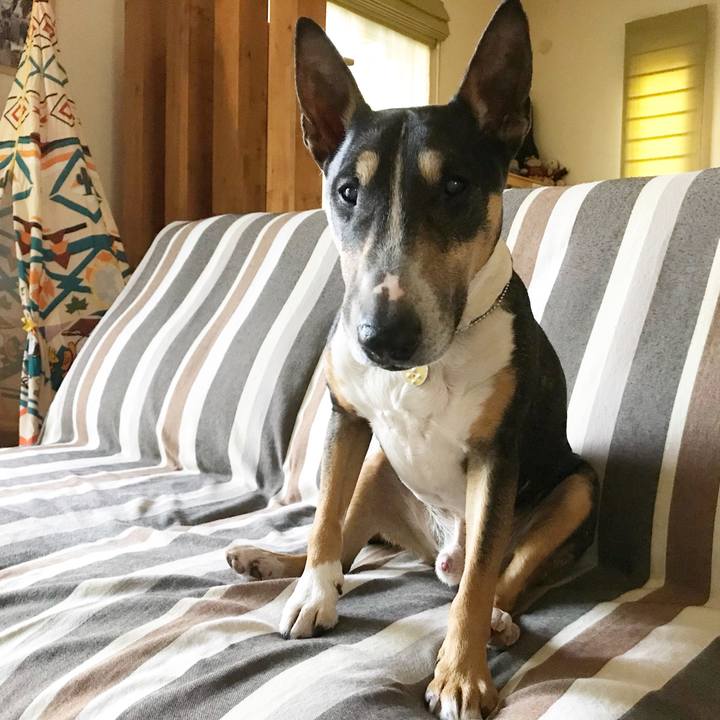 4124ad79 4bb6 4303 b488 191f8bca1657 1527846411800