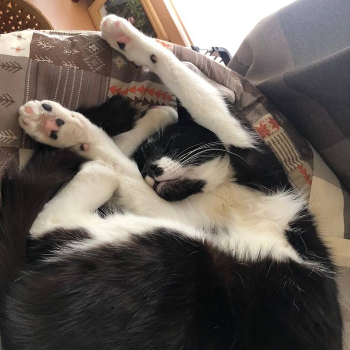 4124b071 525f 454d 89df 74fa47cf56fb 1558644673685