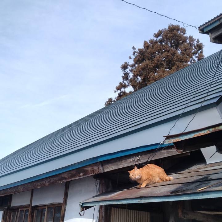 4124d62d 674c 4ce3 9896 de0b1a26e7de 1741411830968