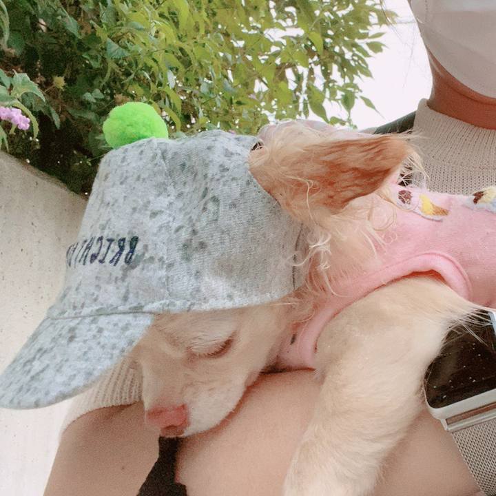 4124f4b1 06ae 4193 b23f ea22eb343e2b 1623747865248