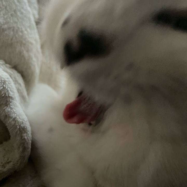 4124fe24 67ae 467b a09f 0e5d5ff903c7 1647812738678