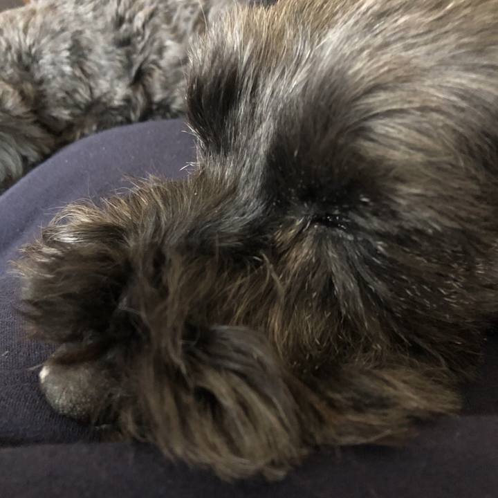 41250f58 cc46 4631 ab17 c8f010037cfb 1586143174159