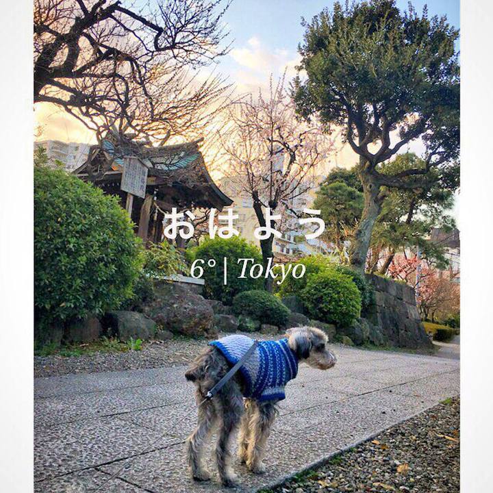 412555b1 c07e 4924 a773 20419c280028 1521324109970