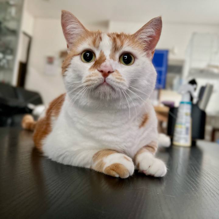 41256a1c 9580 44ca 9638 7c715e65c927 1760326998826